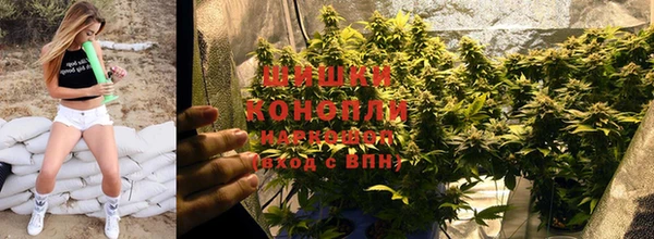 герыч Вяземский