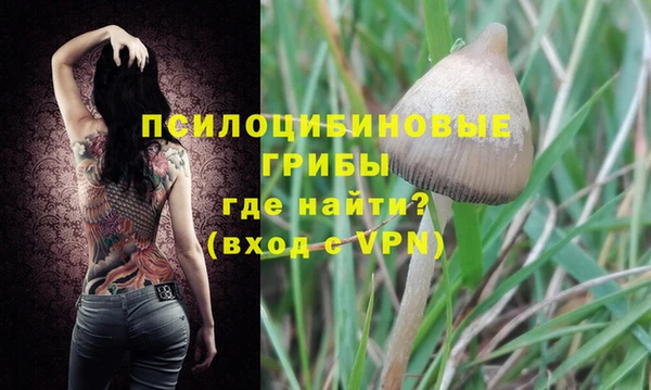 герыч Вяземский